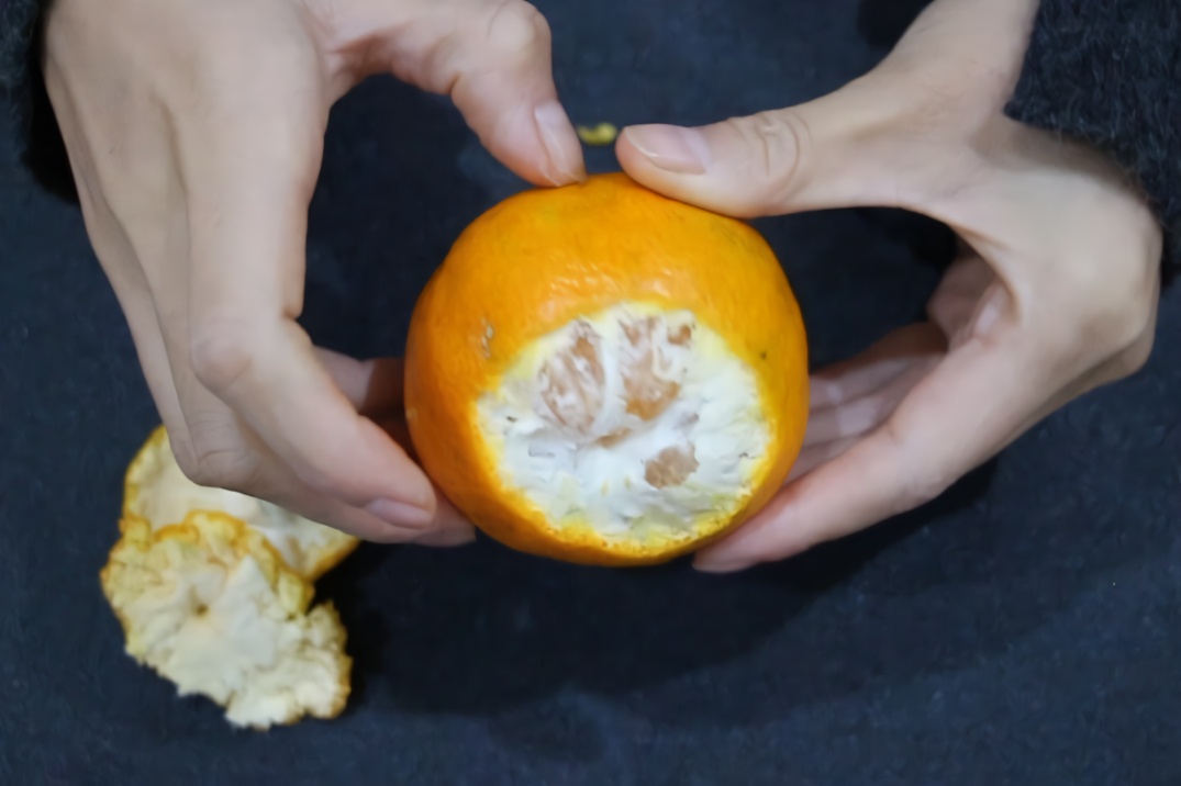 吃了多年橘子才知道教你正确的剥橘子皮方法橘络连皮轻松撕下
