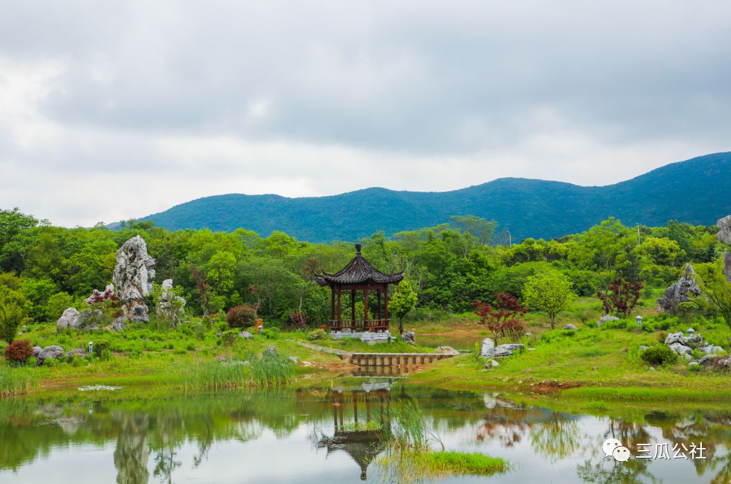 是老家的一桌一椅是碗裡的一葷一素兒時的田園記憶小橋流水,古井老樹