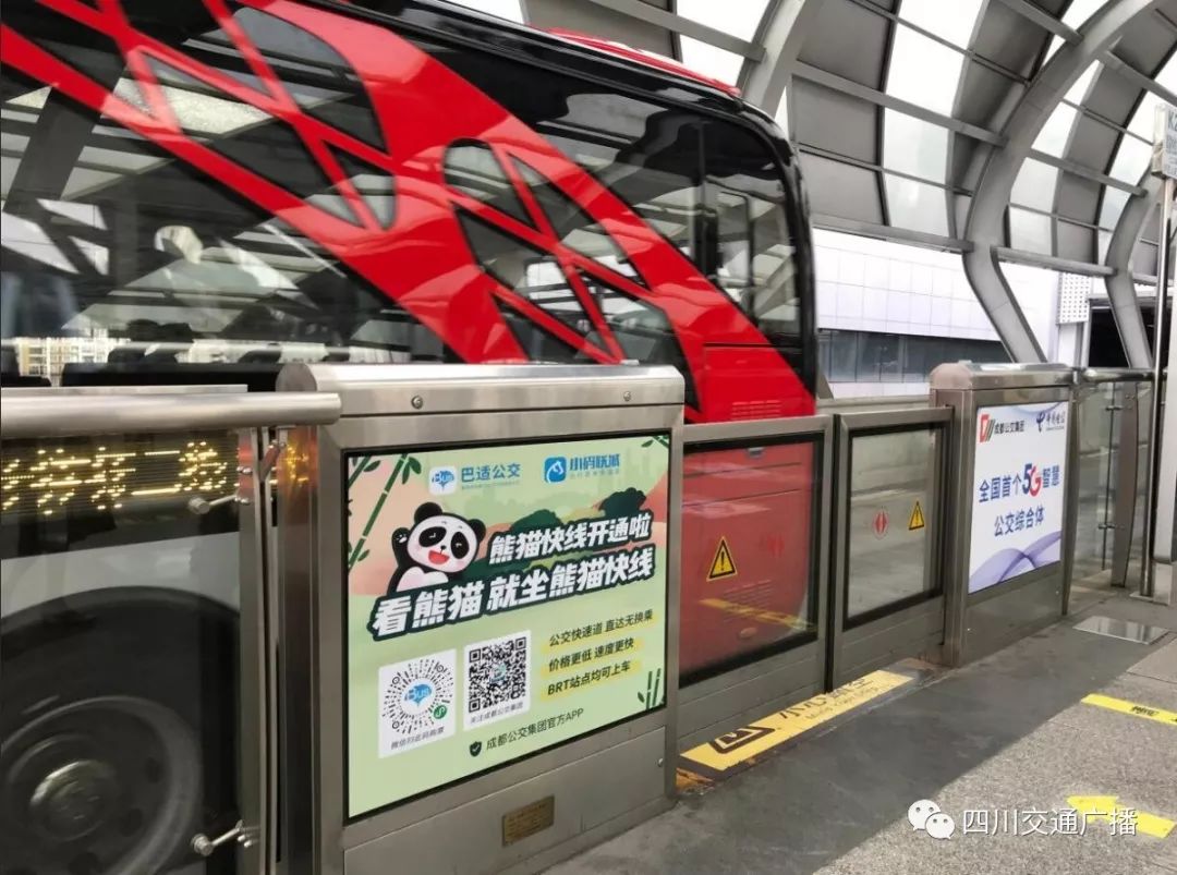 5月1号,成都公交集团将开通两条熊猫快线,熊猫快线带你逛熊猫基地啦.