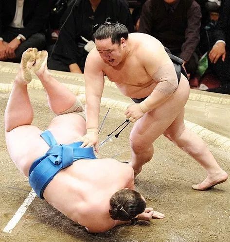 今日头条他称霸相扑界七年是日本最强相扑手却因丑事被迫退役
