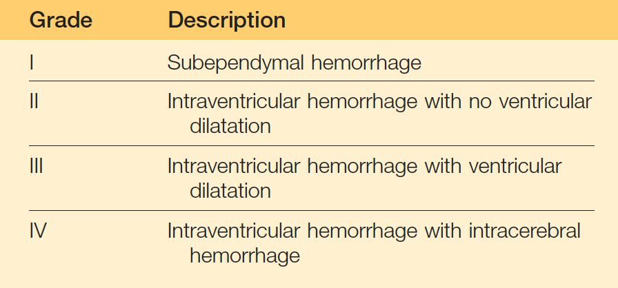 新生儿双胞胎低体重脑积水一对(小儿神经外科系列三)