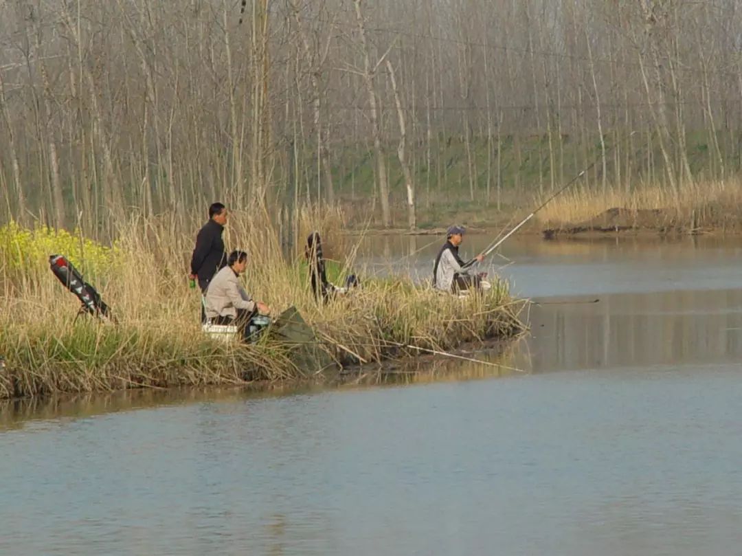 【钓鱼技巧】春钓十"小",助你连竿爆护,渔获满篓!