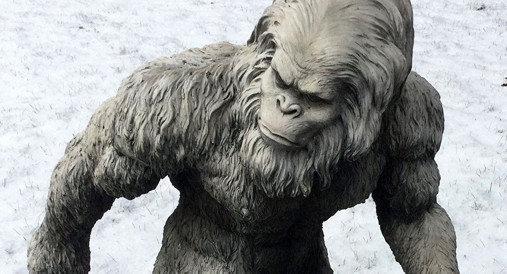 新发现,印度陆军在喜马拉雅山脉发现雪人足迹,表示很开心