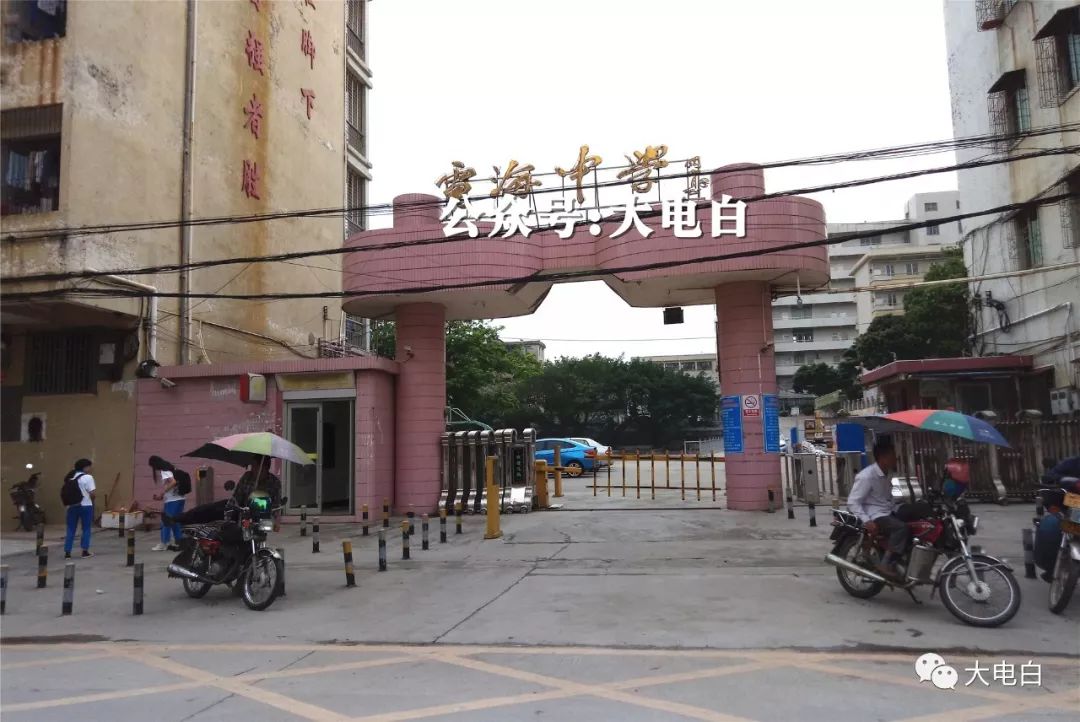 电白三角圩,为什么名震江湖!_电海