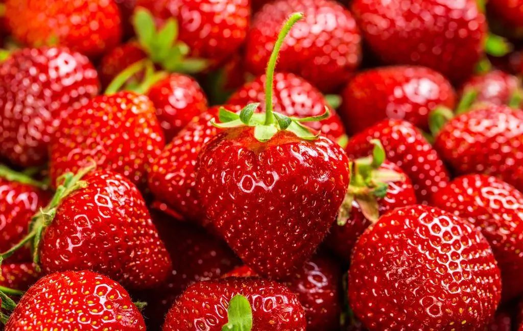 草莓竟然能减肥!这些水果的真相让你惊掉下巴