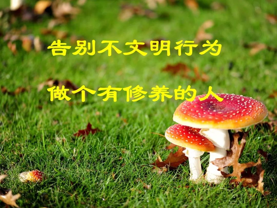 文字,语音,图片都可反映身边不文明行为!