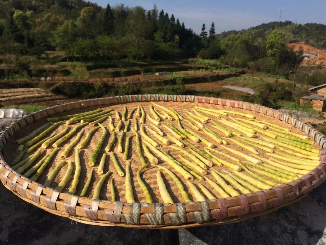 产地食材| 九华山脚下的水竹林里有美味的小野笋_竹笋