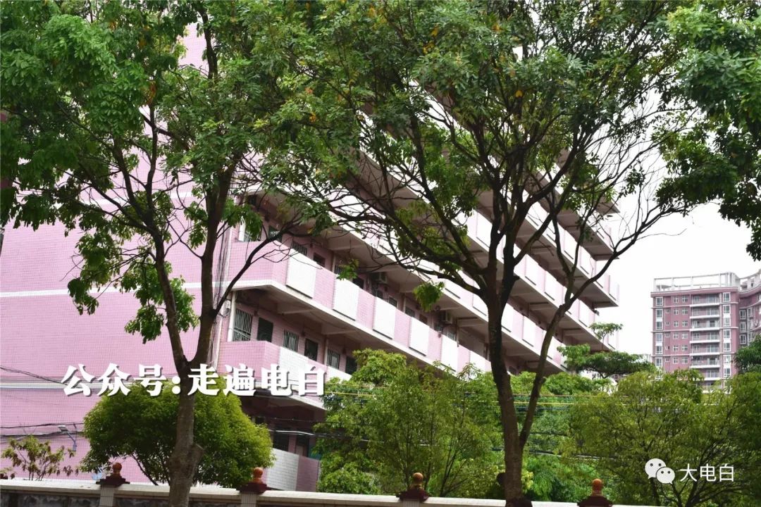 电白三角圩,为什么名震江湖!_电海