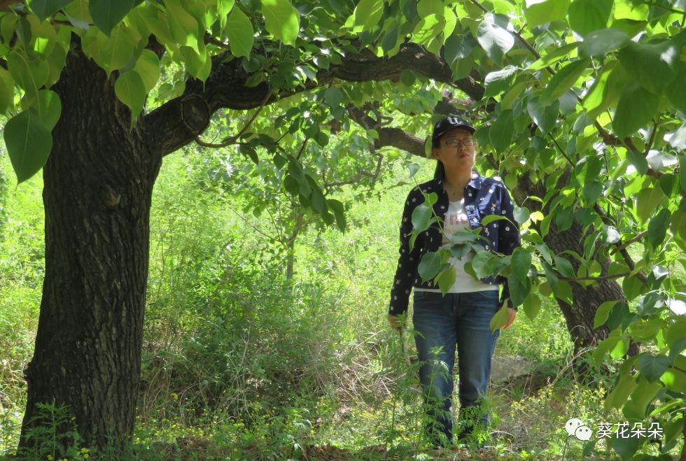 杜佳楠唐山港陆钢铁有限公司党委书记,常务副总经理,唐山市人大代表.