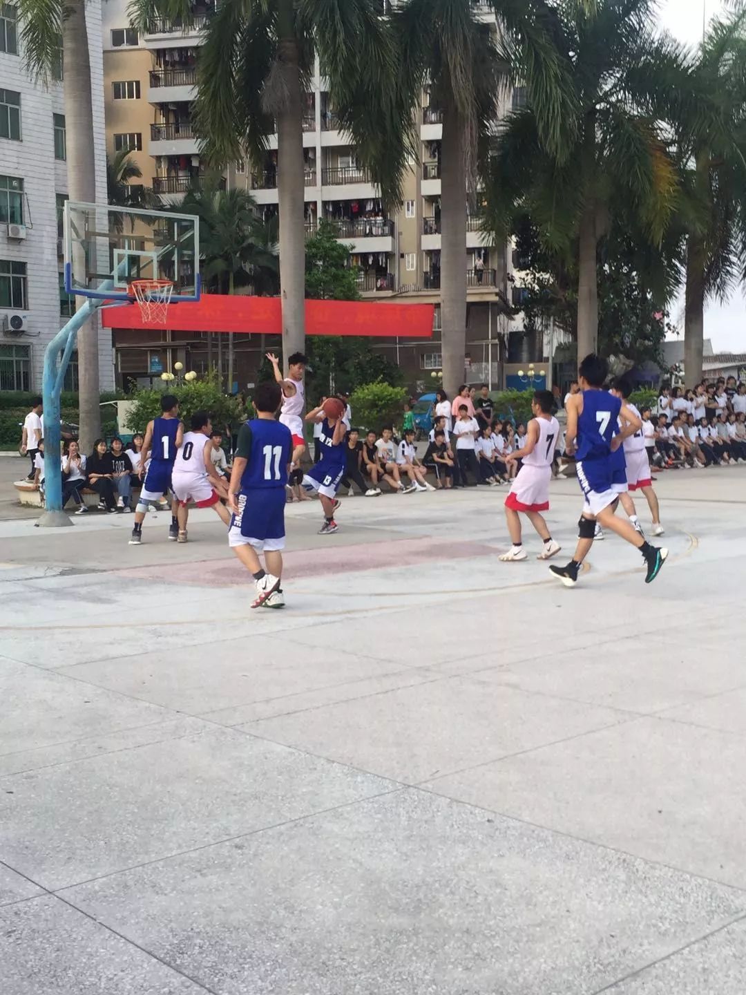 校园电白水东中学高中篮球联赛圆满结束