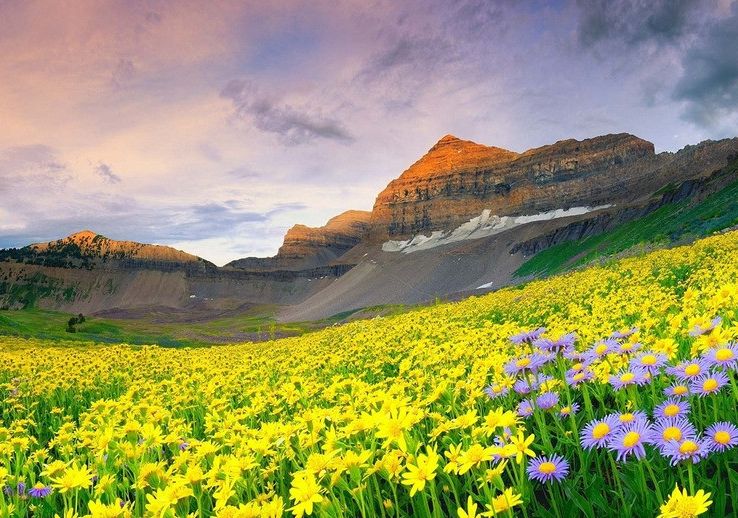 2019年大富大贵,福禄双全,偏财运极佳,走大运,发大财的3生肖