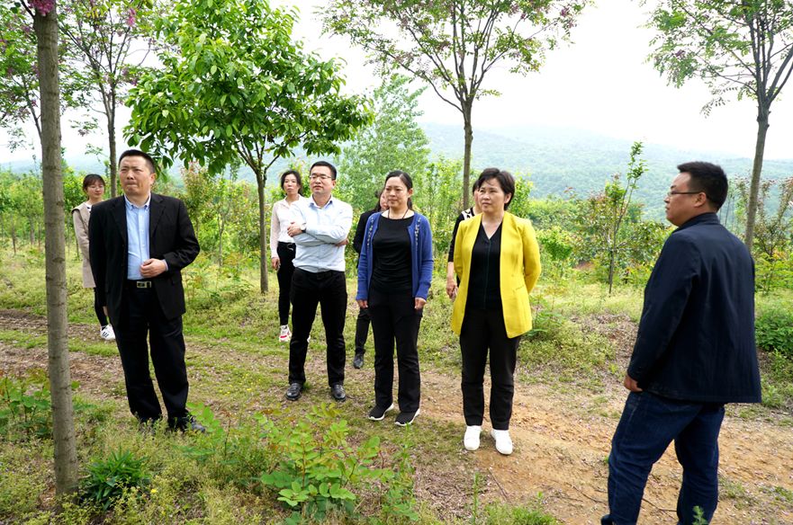 毕道丽到草店镇走访调研"访民情,议民事,解民难"工作开展情况