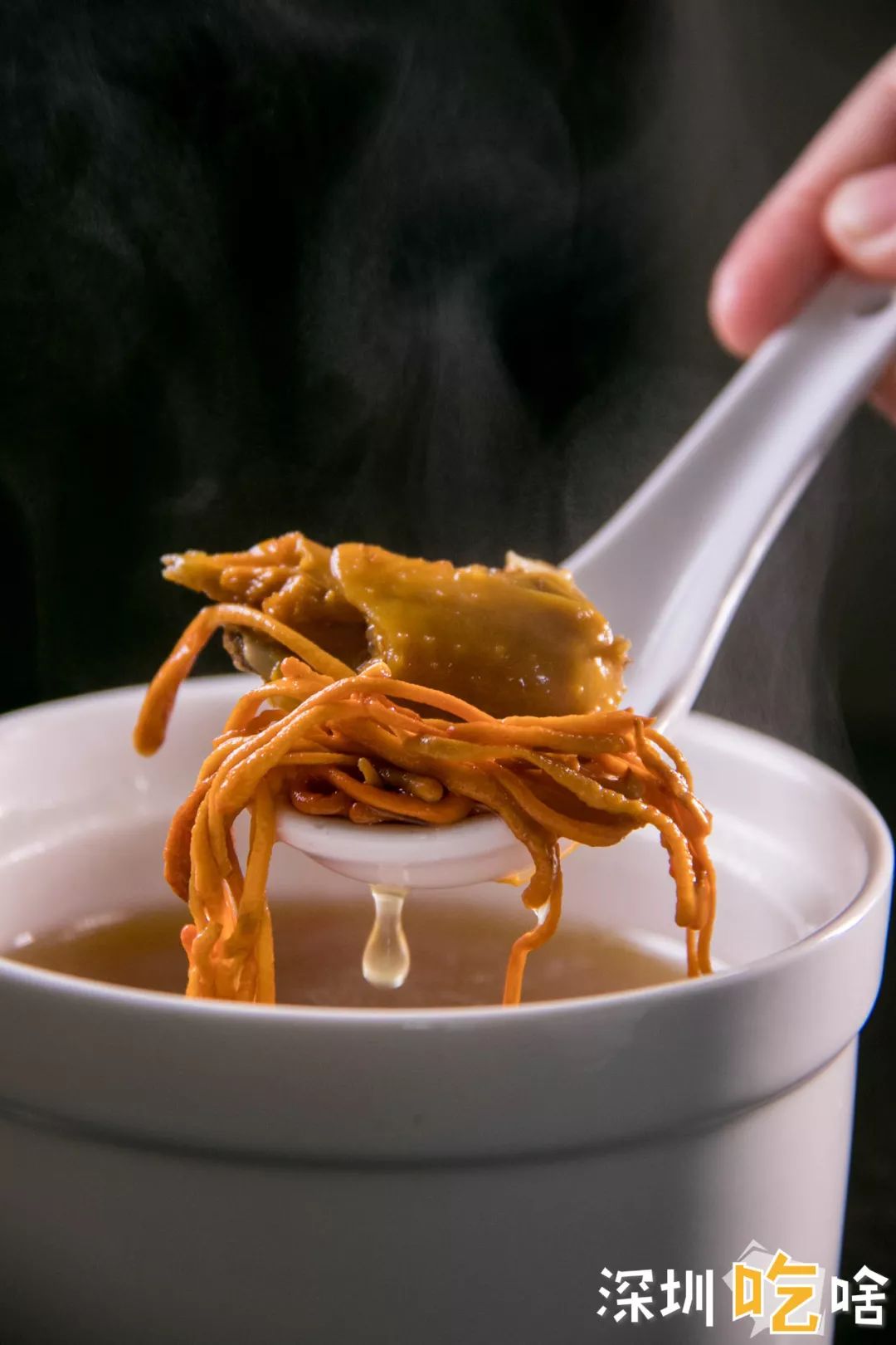 光明排名第②的乳鸽店才是真正的最强王者