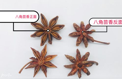 【科普】百草团畲药系列之十二: 八角茴香的"毒亲戚"——红毒茴