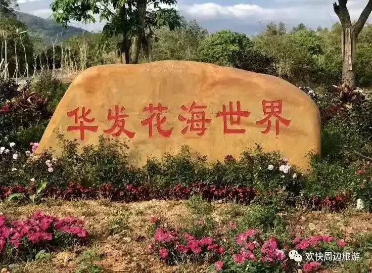 放肆"嗨",五一假期被惠阳旅游安排的明明白白!