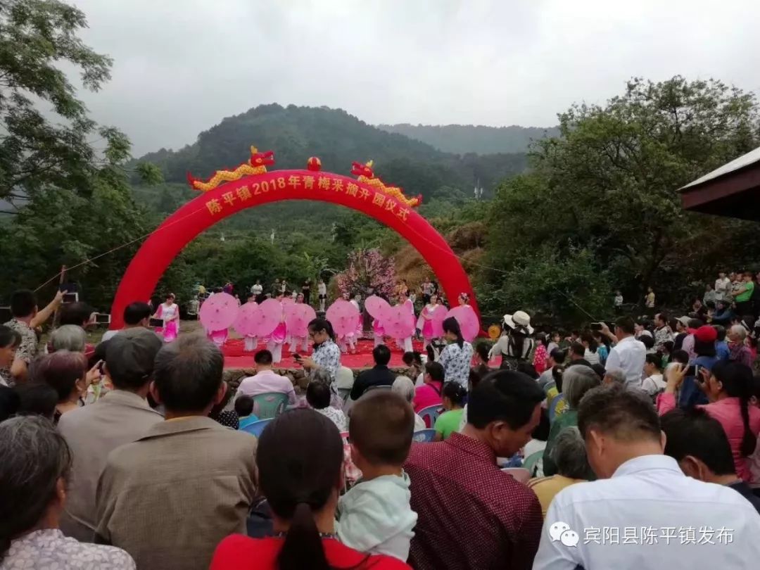 青梅采摘,山货土特产展销等内容节目单陈平镇名山村委三联村梅花广场4