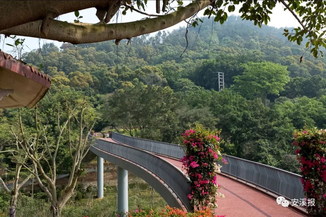 強烈推薦五一去哪兒安溪四大網紅景點任你遊