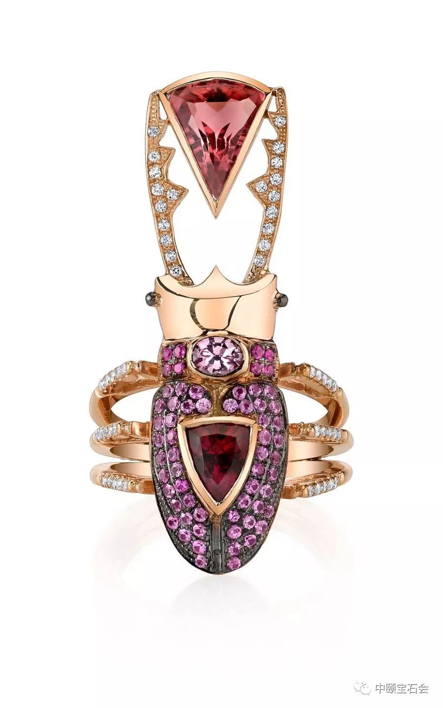 daniela villegas昆虫珠宝,色彩斑斓如异世界