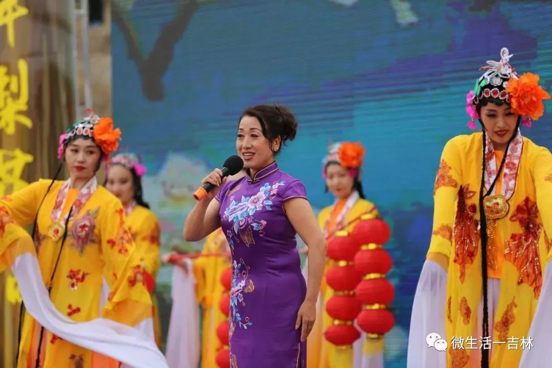 吉林市梨花节盛大启幕雪白梨花分外香