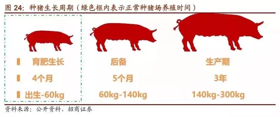 猪的生长是有一定周期的,按照六个月生猪生产周期推算,农业部喊单
