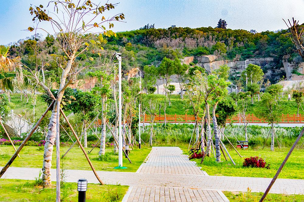 泉州出城不到1小时,藏着一片依山傍水的花海!_公园