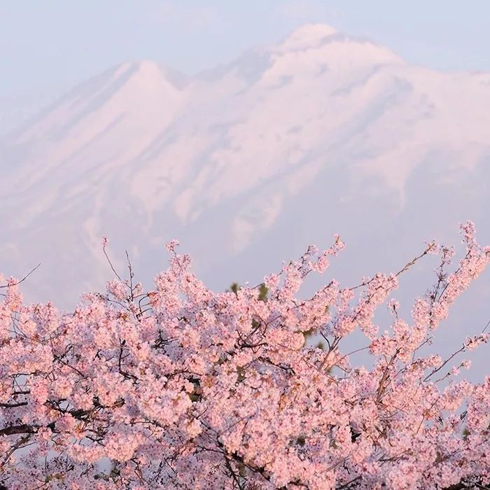 朋友圈背景图 微信头像风景