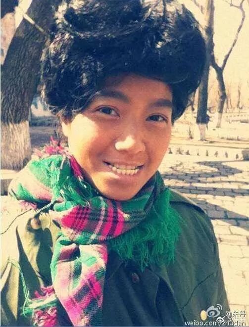 影视日报童乐总裁晒公司猫咪否认贾乃亮金晨恋情复联4imax全球首周9