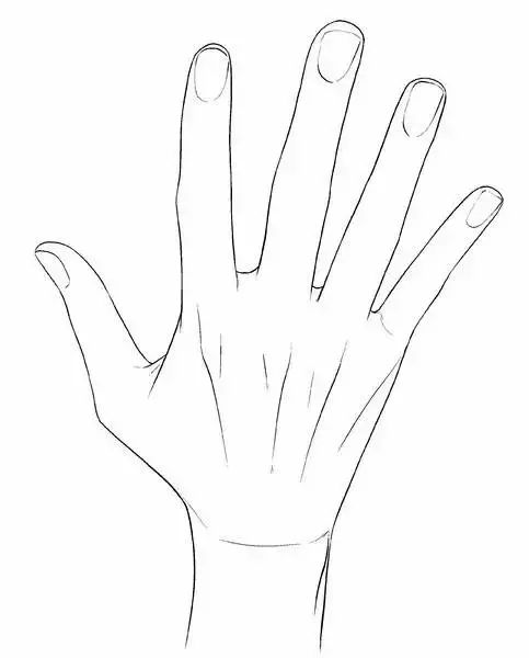 画人难画手?有了这篇文章就不在话下(含530张手部素材)