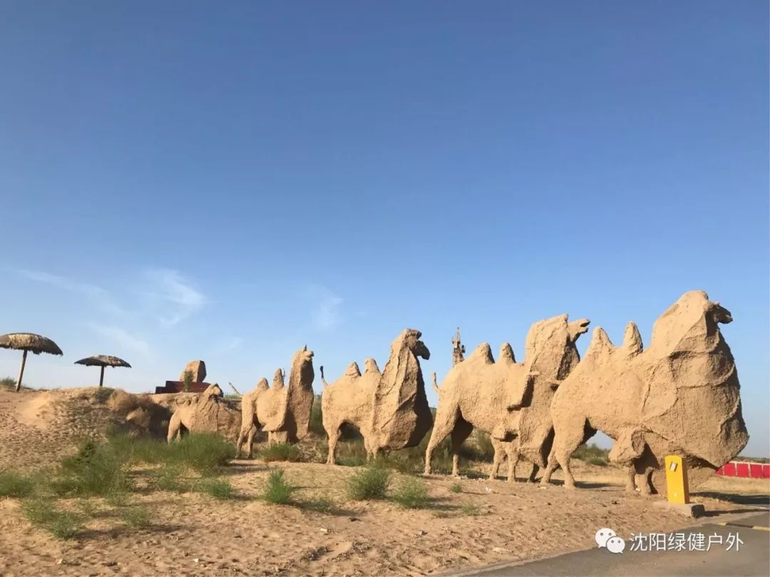 5月1819日周六至周日通辽神秘奈曼疯狂沙漠之旅二日游团员招募