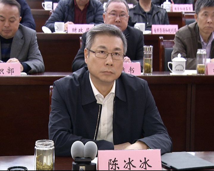 市长陈冰冰在安庆分会场出席会议,并作交流发言.