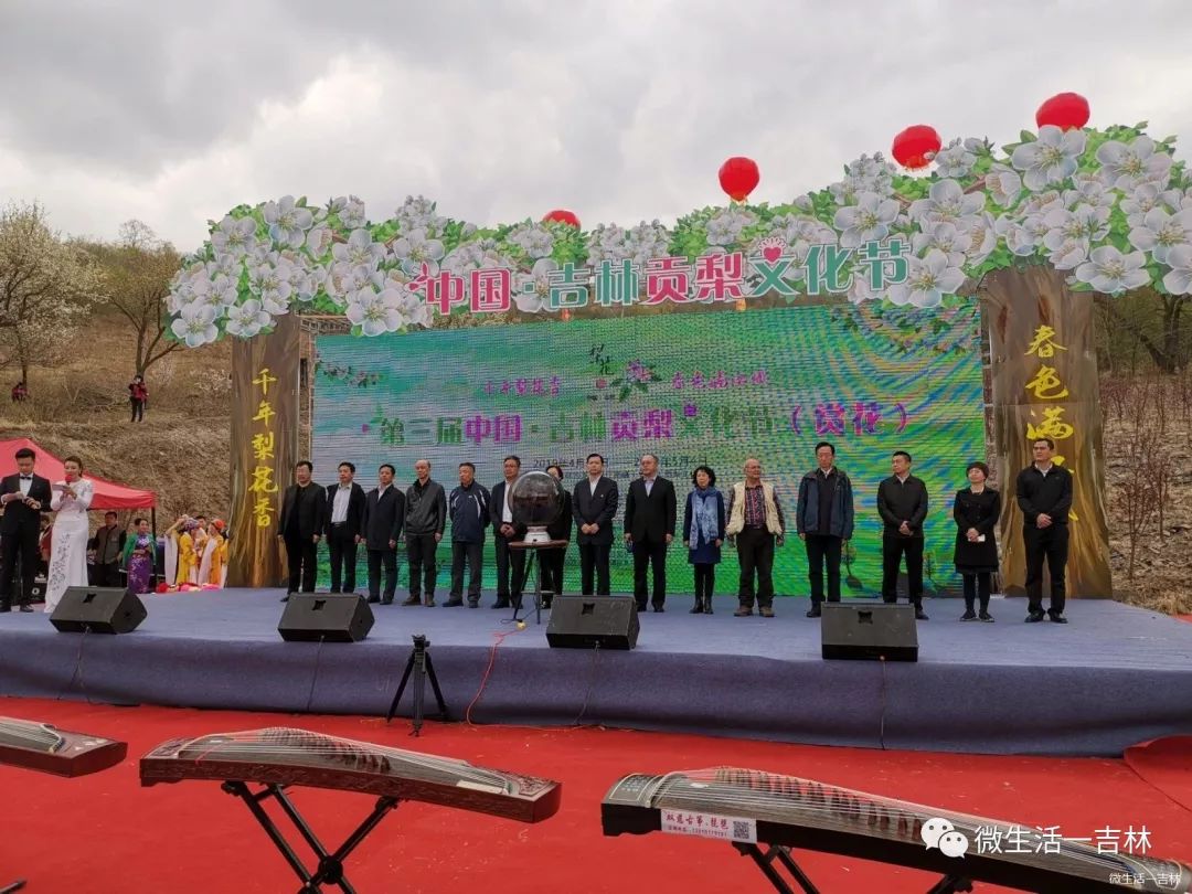 吉林市梨花节盛大启幕雪白梨花分外香