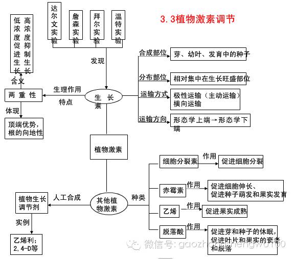 高中生物必修三知識框架圖