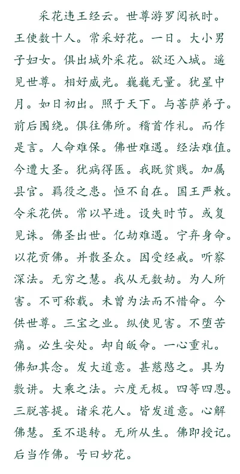 释义  《采花违王经》上说:有一次,世尊游化来到罗阅城,正逢国王派数