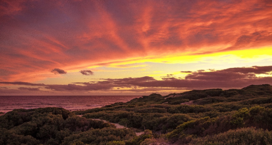 美的布谷不只吃小米?互联网家电的好日子今年到头了-家电圈官网
