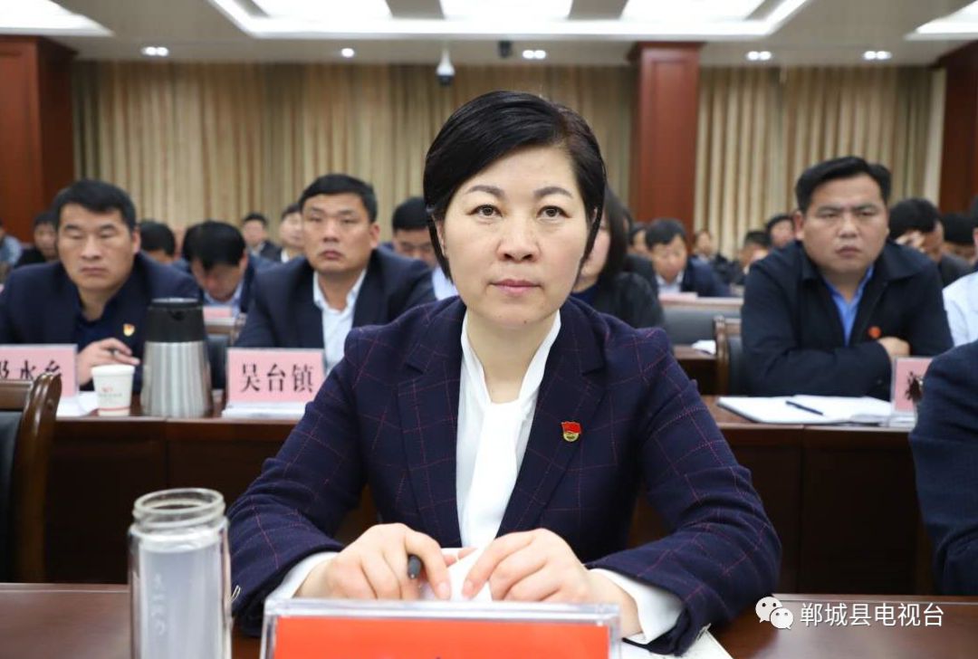 县领导罗文阁,侯磊,吴青锋,吕振龙,胡友涛,金仁旺等在我县分会场收看