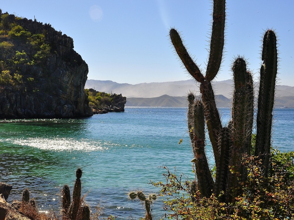 原创委内瑞拉现状一个国家两个总统