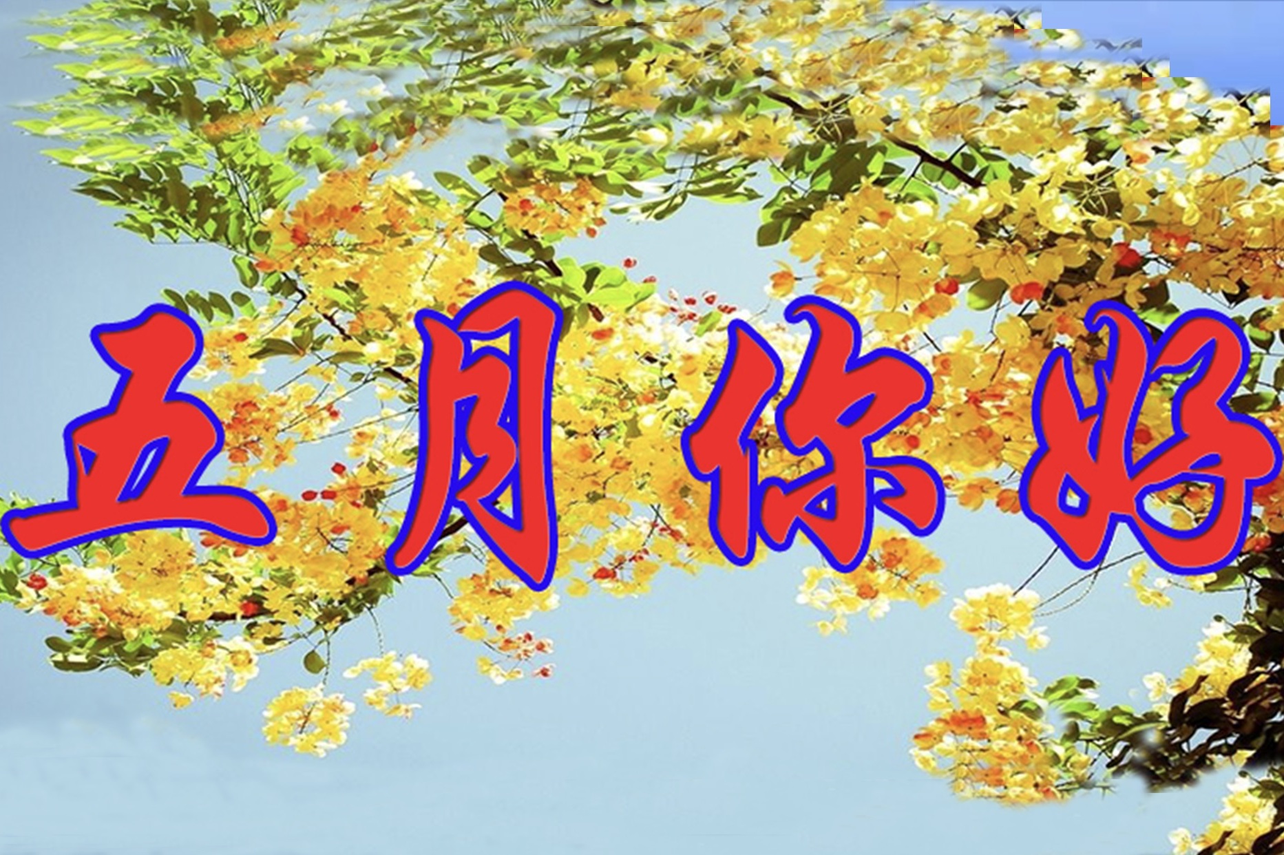 5月1日五月第一天祝福送上五月你好