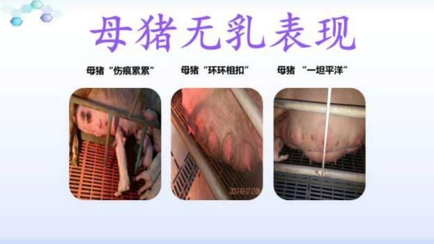 5,中药催奶法:王不留行40克,通草,穿山甲,白术各15克,白芍,当归,黄芪