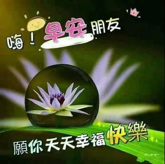 微信动画图片早上图片