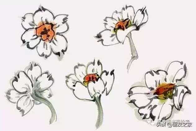 水仙花头的基本画法水仙是中国十大名花之一,深受画家们的注意和喜爱.