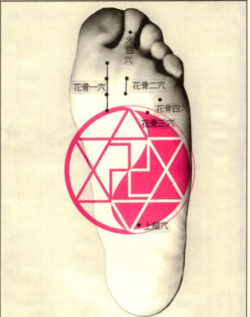 董氏针灸脚部穴位图库
