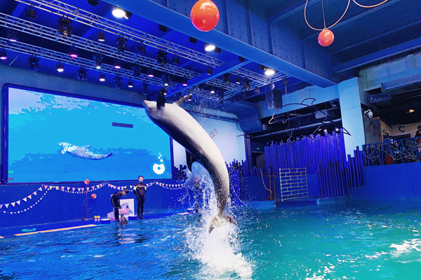五一去西安幻太奇海洋馆完成海洋梦和飞行梦