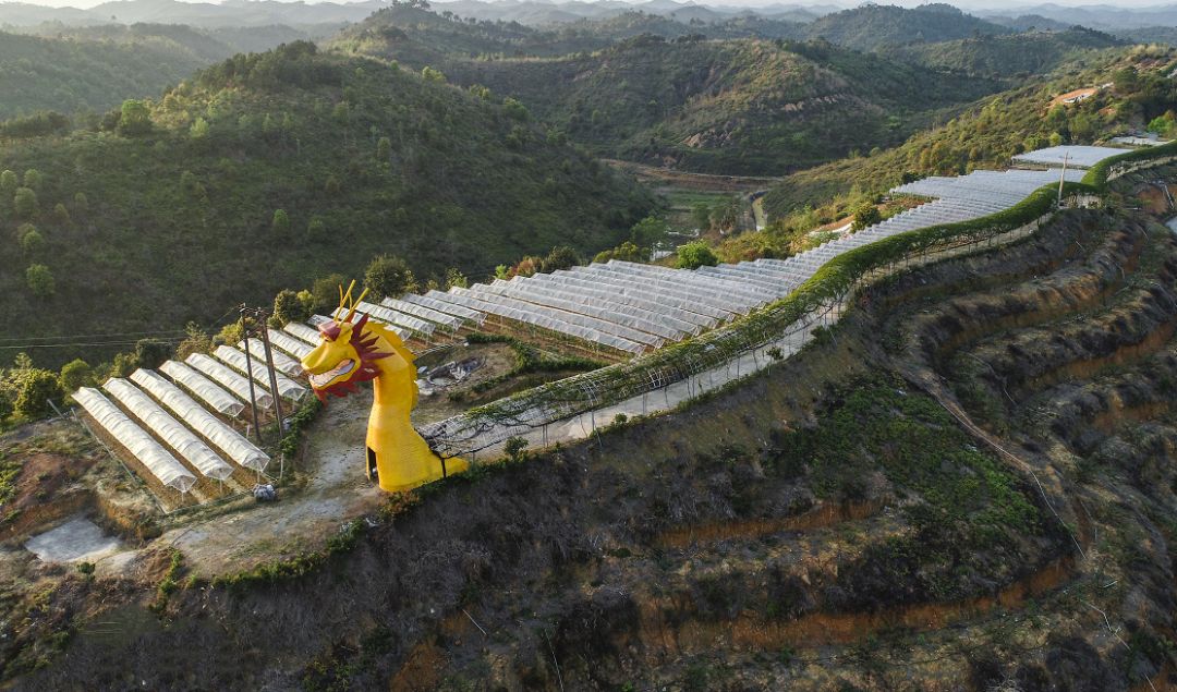 梅州德比即将上演谁敢横刀立马唯我五华阿哥