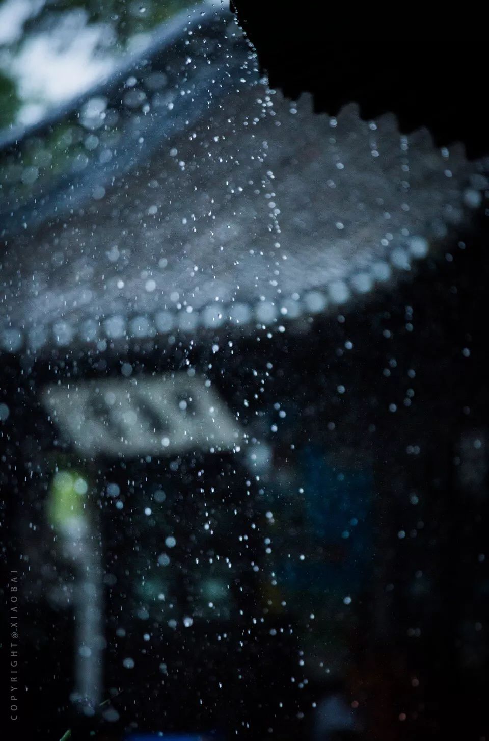 隔窗听夜雨图片