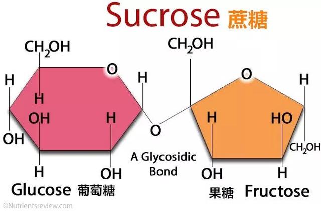 葡萄糖和果糖的结构式图片