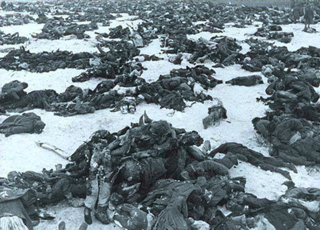 原创二战惨烈之战70万苏军被全部围歼德军虽完胜却是希特勒最大的失策