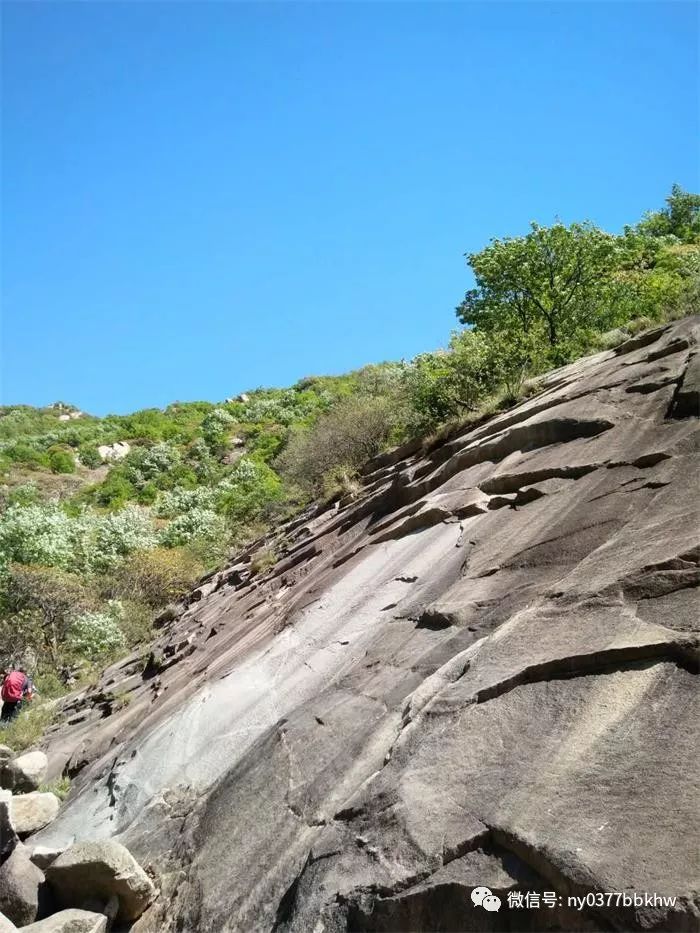 201953還有餘位魯山千層崖美女峰結繩登山賞杜鵑