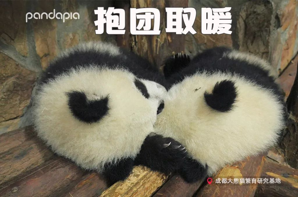 版权声明 本公众号的原创内容(包括图片,文字,视频,产品形象等),著作