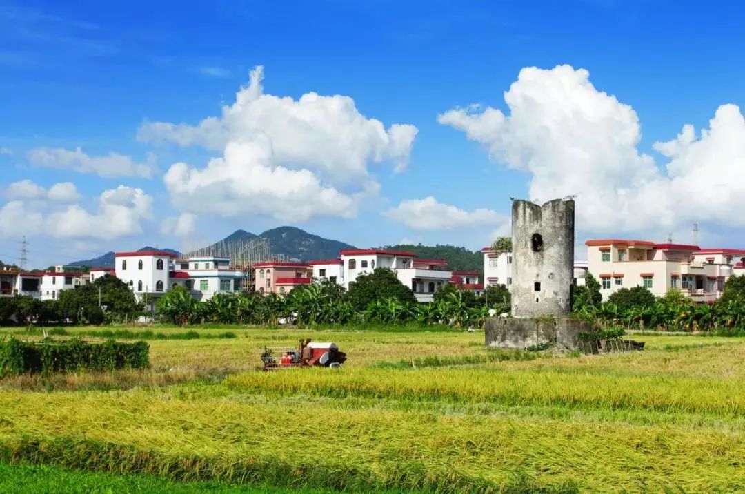 画面唯美来中山这些网红拍照圣地打卡一起来场穿越之旅