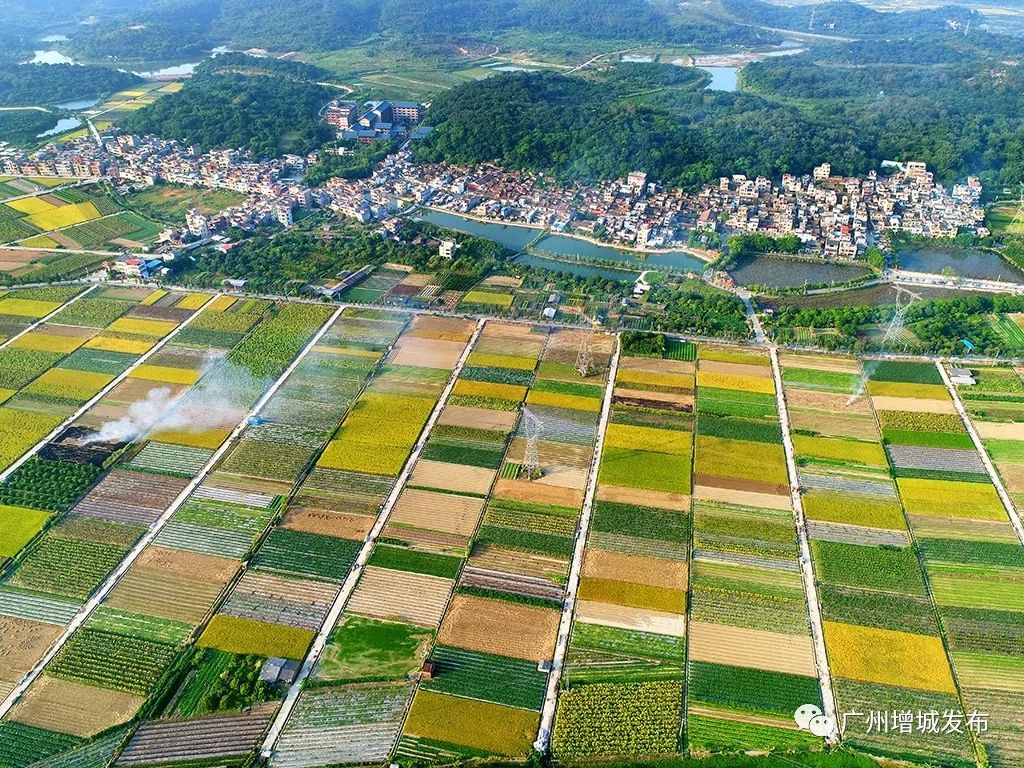 增城幸福田园基地图片